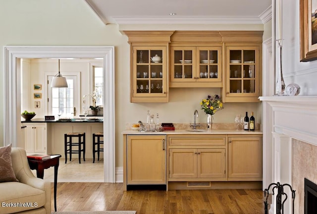 258 Sandisfield Rd, New Marlborough, MA 01230 - indoor wet bar featuring ornamental molding and light wood-style floors