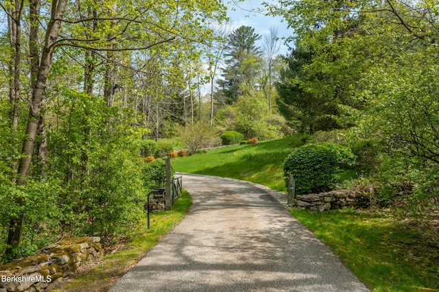 258 Sandisfield Rd, New Marlborough, MA 01230 - view of community with a lawn and asphalt driveway
