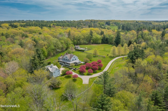 258 Sandisfield Rd, New Marlborough, MA 01230 - aerial view of sparsely populated area with a forest