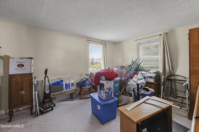 39 Fieldwood Dr, Clarksburg, MA 01247 - photo 16