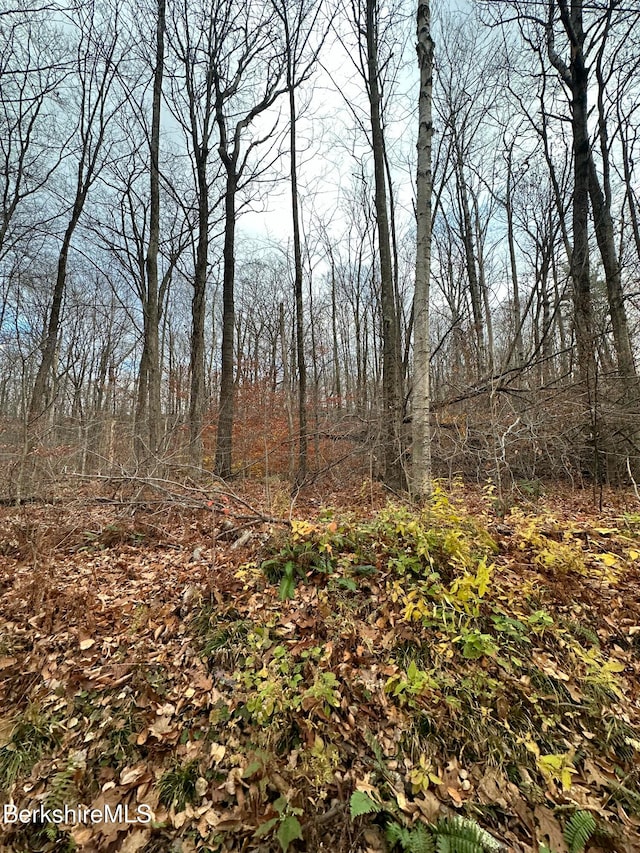 0 Kessler Rd, Lanesborough MA, 01237 land for sale