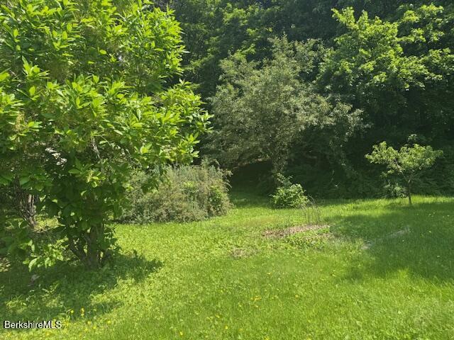 386 N Plain Rd, Great Barrington, MA 01230 - view of undeveloped land