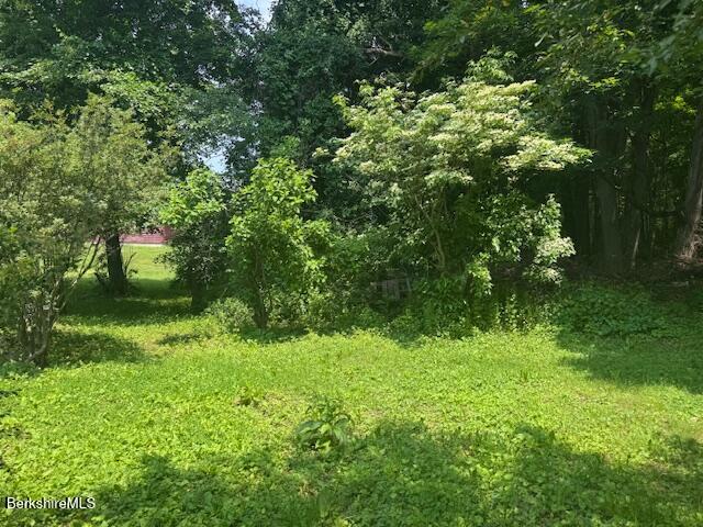 386 N Plain Rd, Great Barrington, MA 01230 - view of undeveloped land