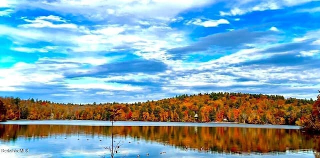 78 Slope Rd, Tolland, MA 01034 - water view with a heavily wooded area