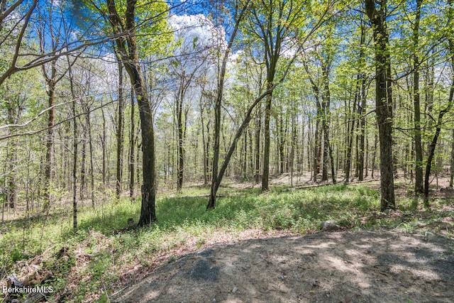 78 Slope Rd, Tolland, MA 01034 - view of yard featuring a wooded view