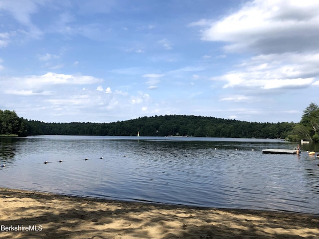 78 Slope Rd, Tolland, MA 01034 - water view featuring a heavily wooded area and a boat dock