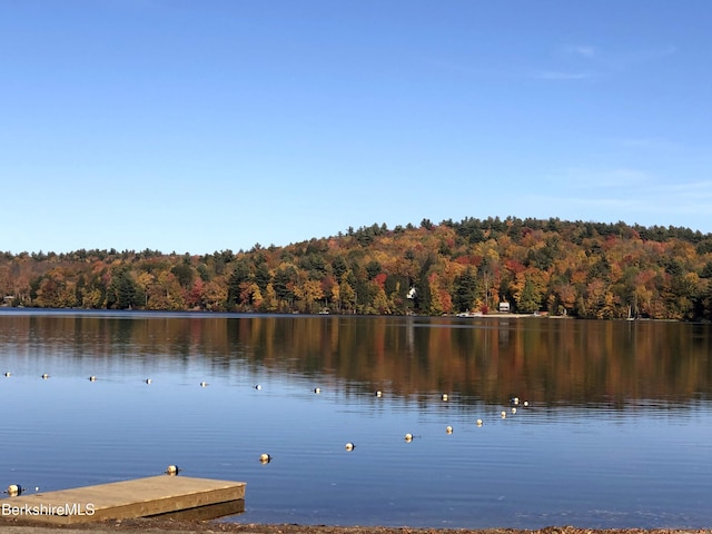 78 Slope Rd, Tolland, MA 01034 - water view with a heavily wooded area