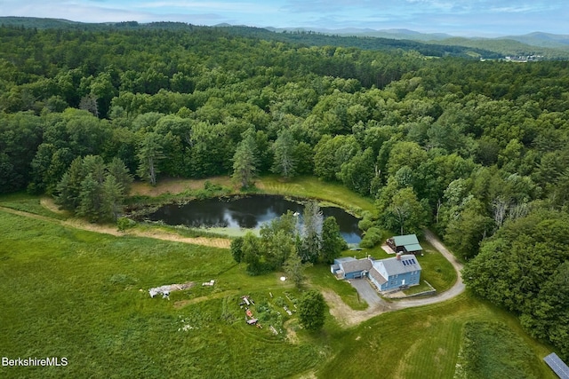 40 Whately Glen Rd, Conway, MA 01341 - photo 35