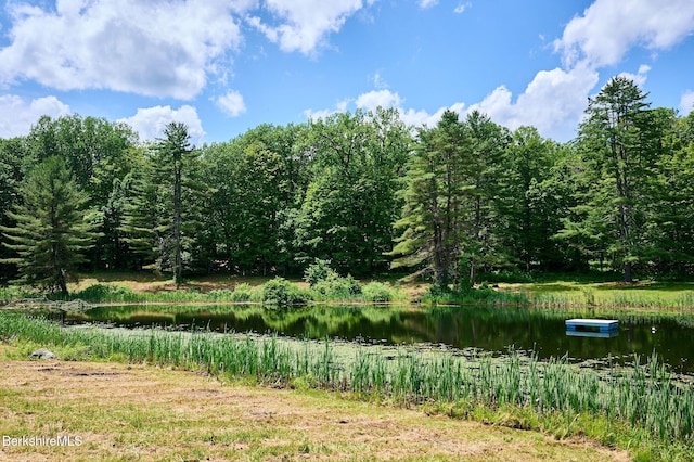 40 Whately Glen Rd, Conway, MA 01341 - photo 37