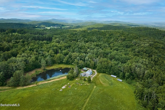 40 Whately Glen Rd, Conway, MA 01341 - photo 38