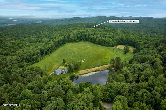 40 Whately Glen Rd, Conway, MA 01341 - photo 4