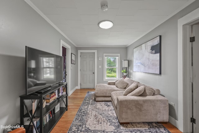 7 Chicopee St, Lanesborough, MA 01237 - living room with ornamental molding and light wood-style floors