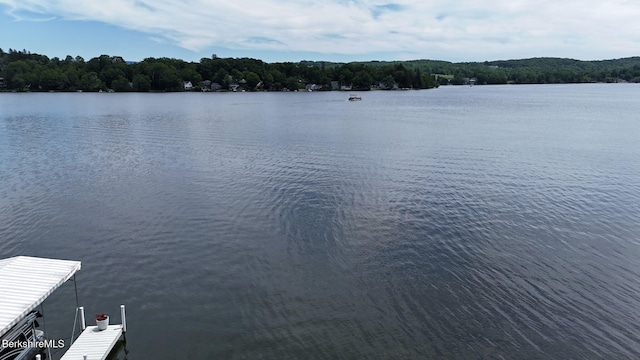 89 Narragansett Ave, Lanesborough, MA 01237 - photo 31