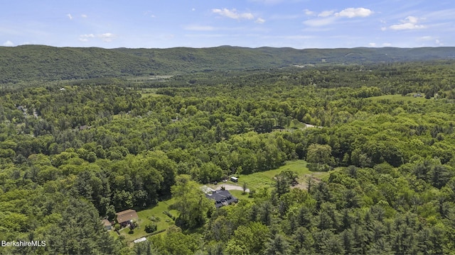 20 E Dugway Rd, Lenox, MA 01240 - aerial view of property's location featuring a forest