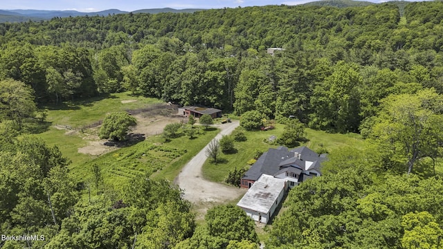 20 E Dugway Rd, Lenox, MA 01240 - aerial view of property and surrounding area with a forest and a mountainous background