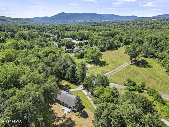 1000 Simonds Rd, Williamstown, MA 01267 - photo 56