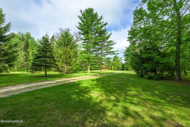 33 Interlaken Rd, Stockbridge, MA 01262 - view of grassy yard
