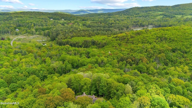 5 Easland Rd, West Stockbridge, MA 01266 - aerial view of a forest and mountains