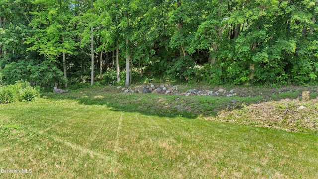 160 High St, Lee, MA 01238 - photo 10