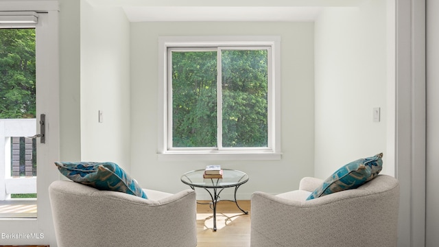160 High St, Lee, MA 01238 - photo 49