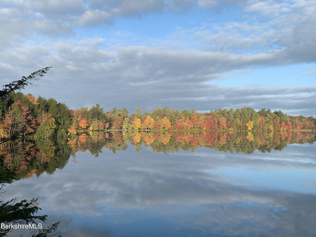 water view featuring a view of trees