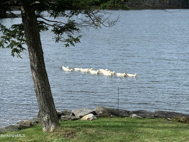 water view