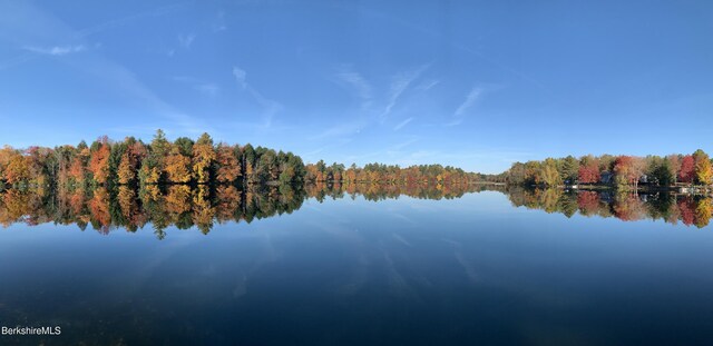 property view of water with a forest view
