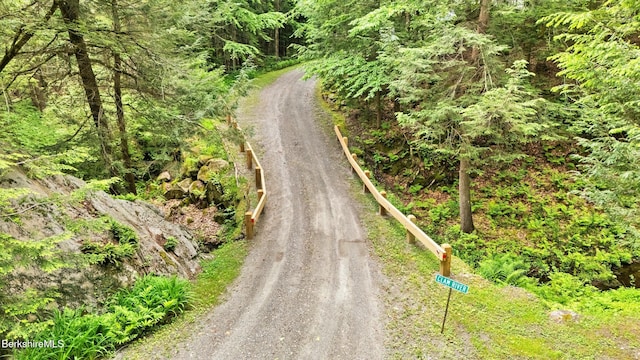 2017 Monterey Rd, Otis, MA 01253 - view of dirt / gravel road with a wooded view