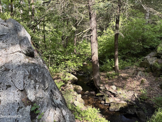 2017 Monterey Rd, Otis, MA 01253 - view of undeveloped land
