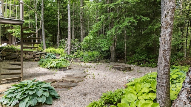 2017 Monterey Rd, Otis, MA 01253 - view of yard with stairway and a view of trees