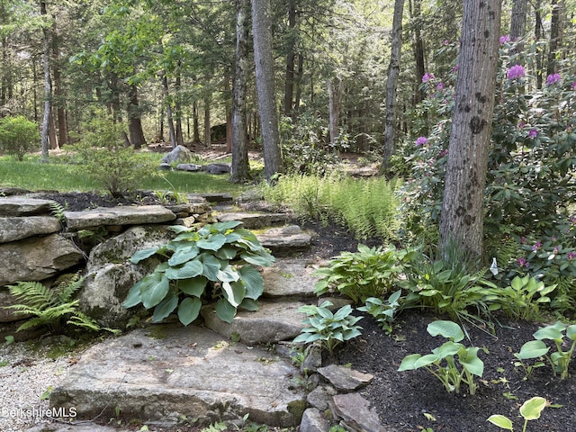 2017 Monterey Rd, Otis, MA 01253 - view of woods