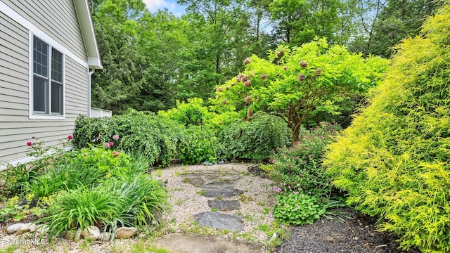 2017 Monterey Rd, Otis, MA 01253 - view of yard
