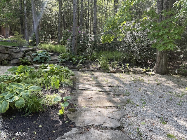 2017 Monterey Rd, Otis, MA 01253 - view of street