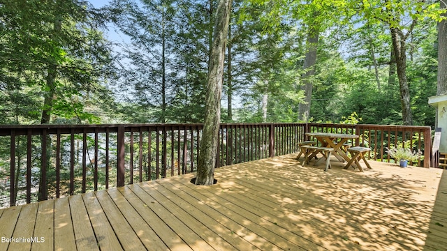 51 Downs Rd, New Marlborough, MA 01230 - view of wooden terrace