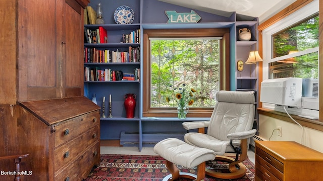 51 Downs Rd, New Marlborough, MA 01230 - living area with lofted ceiling, a baseboard radiator, and cooling unit