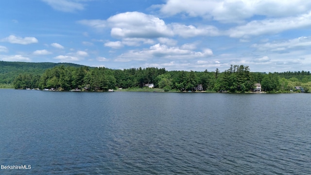 51 Downs Rd, New Marlborough, MA 01230 - water view featuring a forest