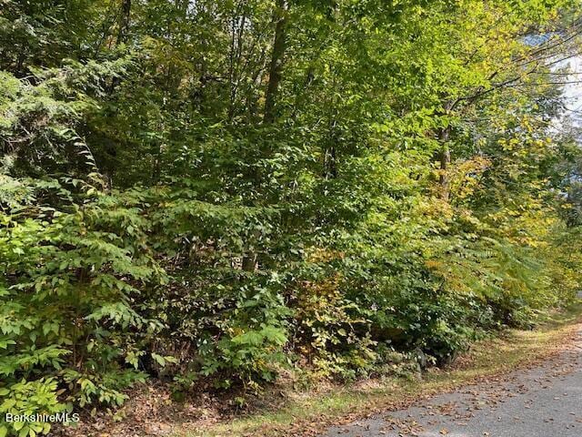 40 Bliven Rd, Otis, MA 01253 - photo 5