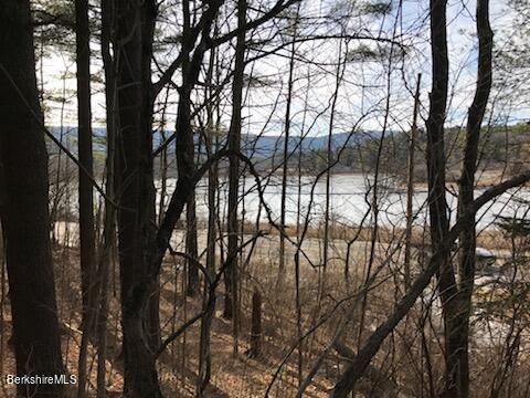 0 Pine Crest Hill Rd, Egremont MA, 01230 land for sale