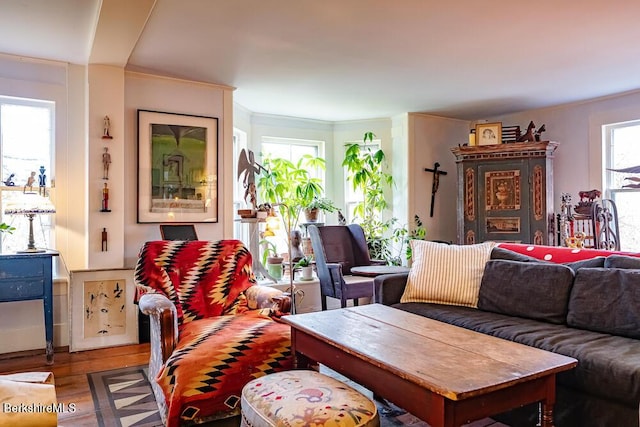 living room with plenty of natural light, wood-type flooring, and crown molding