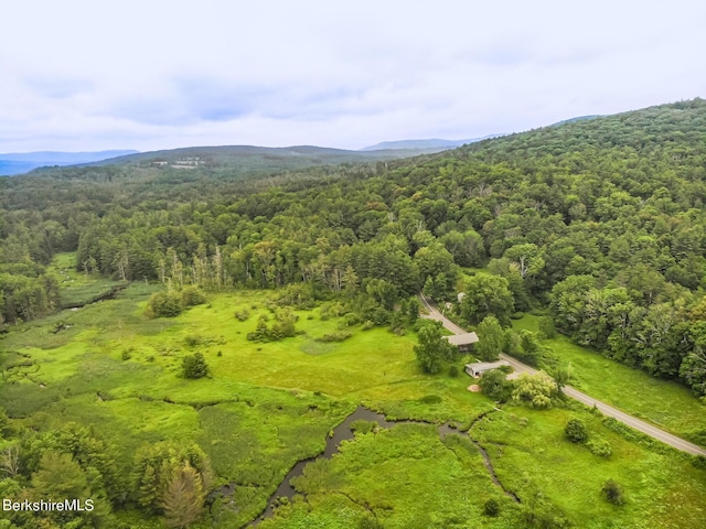 aerial view with a mountain view