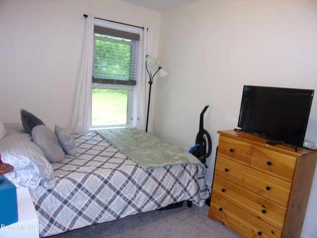 94 Prospect St, North Adams, MA 01247 - view of carpeted bedroom