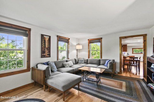 288 Johnson Rd, Dalton, MA 01226 - living room with wood finished floors and baseboards
