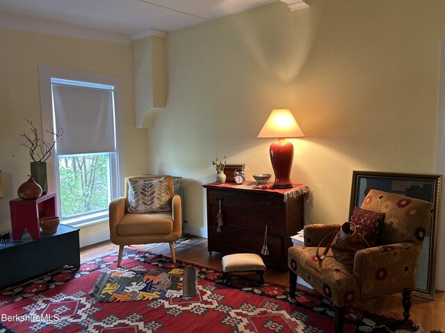 163 Front St, Great Barrington, MA 01236 - living area featuring baseboards and wood finished floors