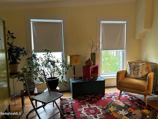 163 Front St, Great Barrington, MA 01236 - living area with wood finished floors