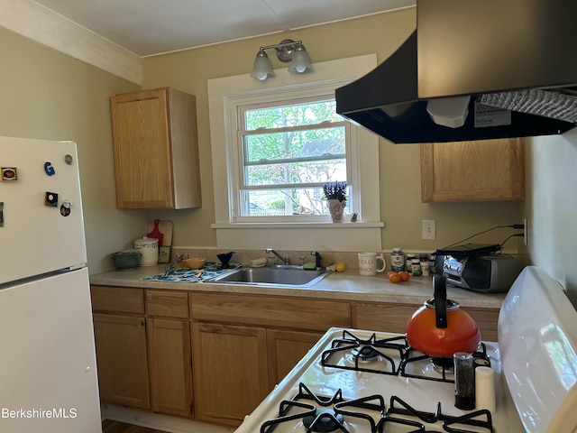 163 Front St, Great Barrington, MA 01236 - kitchen featuring a sink, freestanding refrigerator, ventilation hood, light countertops, and ornamental molding