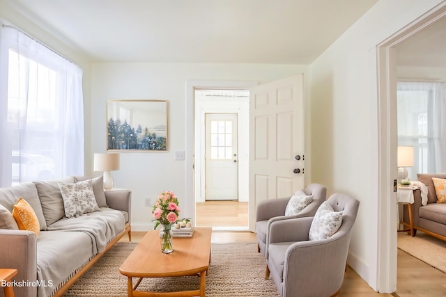 living room with light hardwood / wood-style floors