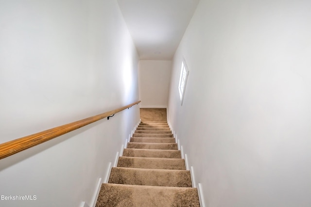 stairs featuring carpet