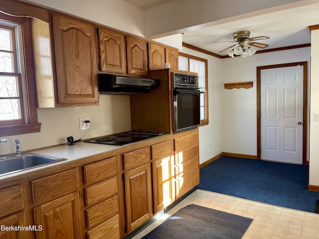 kitchen with black appliances, ceiling fan, plenty of natural light, and sink