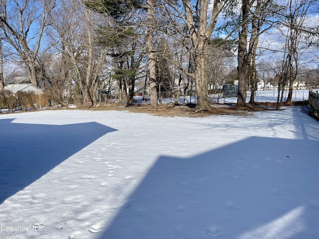 view of yard covered in snow