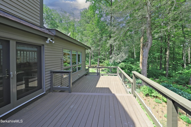 355 Adsit Crosby Rd, New Marlborough, MA 01230 - photo 58